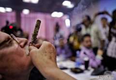 古巴2013哈伯纳斯雪茄节最长烟灰比赛2
