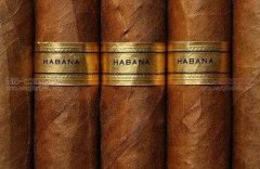 为何权贵都选哈瓦那雪茄