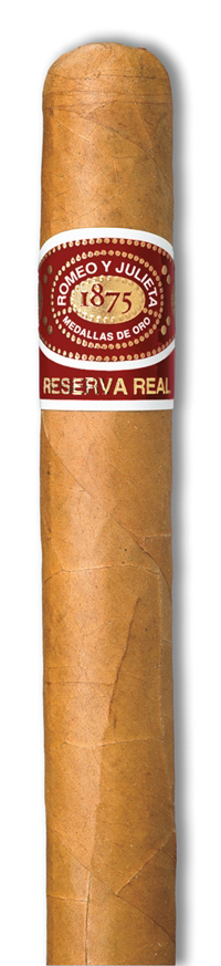 Petit Robusto