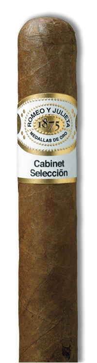 Robusto