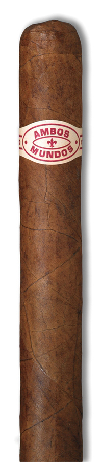 Robusto