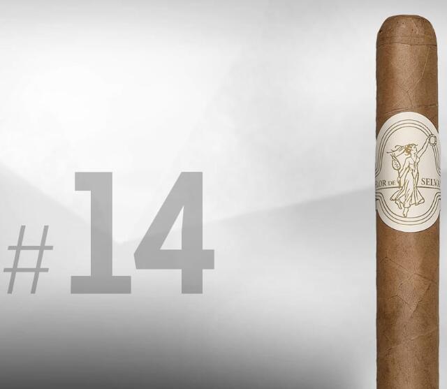 FLOR DE SELVA N°20 Cigar Jorunal 2015雪茄排名TOP25 NO.14 塞尔瓦之花 N°20