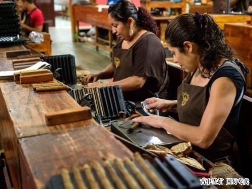 Joya de Nicaragua尼加拉瓜乔亚工厂的雪茄卷烟师正在工作