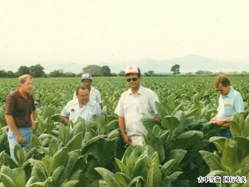 贾马斯特兰山谷烟草农场的内斯特·普拉森西亚