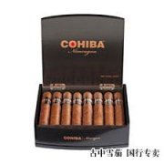 尼加拉瓜 Cohiba 进入市场