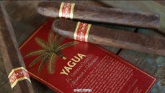 JC Newman 雪茄发送 2023 年第一批 Yagua