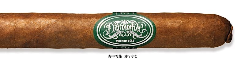 Room 101 Daruma Mutante