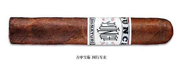 Punch Signature Robusto