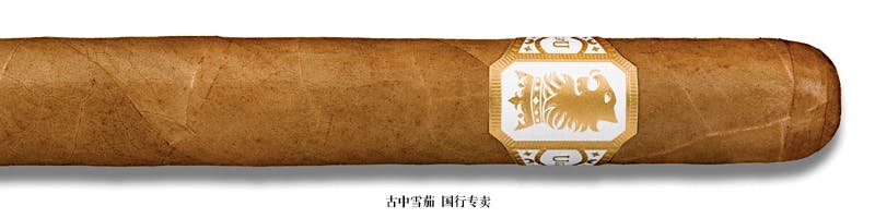 Undercrown Shade Corona Doble