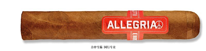 Allegria Robusto