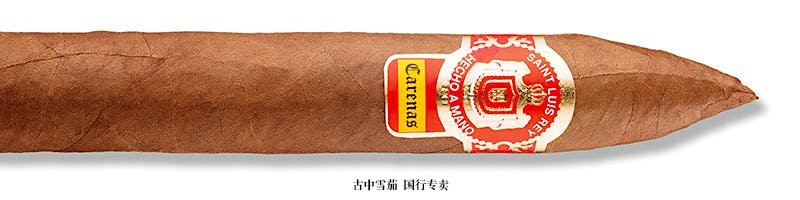 Saint Luis Rey Carenas Belicoso