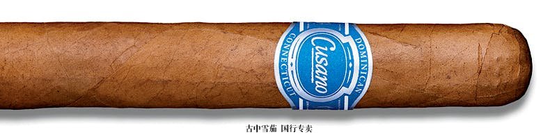 Cusano Dominican Connecticut Churchill