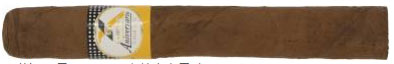 高希霸世纪系列 10 周年保湿箱 Cohiba Siglo X Aniversario Humidor 2002 纪念性发行系列