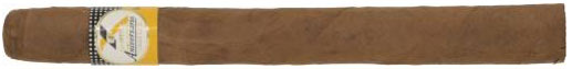 高希霸世纪系列 10 周年保湿箱 Cohiba Siglo X Aniversario Humidor 2002 纪念性发行系列