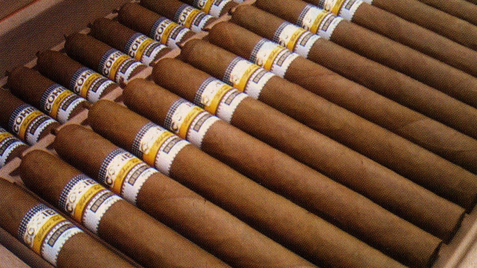 Cohiba Behike