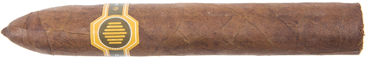 Warped La Colmena Black Honey ｜ 蜂巢 黑蜜（Black Honey）