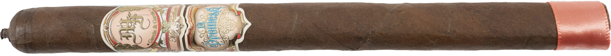 My Father La Promesa Lancero ｜ 我的父亲 承诺 长矛