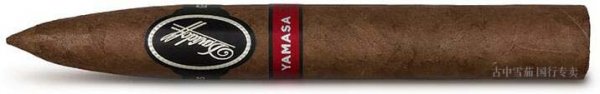 《Cigar Jorunal》2016雪茄排名TOP25 第2名 DAVIDOFF YAMASÁ PIRÁMIDES 大卫杜夫·亚马萨·金字塔