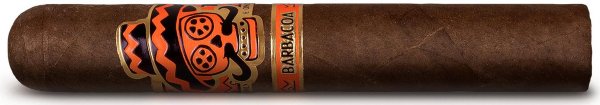 Rojas Street Tacos Barbacoa Robusto